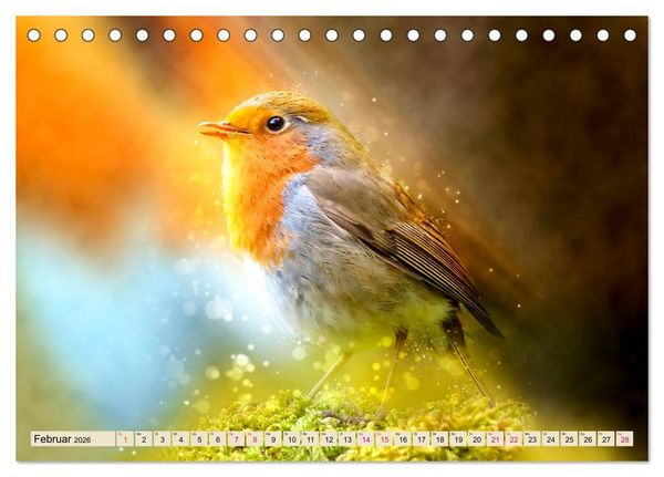 Produktbild: Bei uns im Garten - Rotkehlchen (Tischkalender 2026 DIN A5 quer), CALVENDO Monatskalender