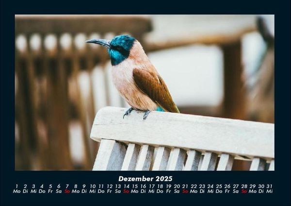 Produktbild: Tierkalender 2025 Fotokalender DIN A4