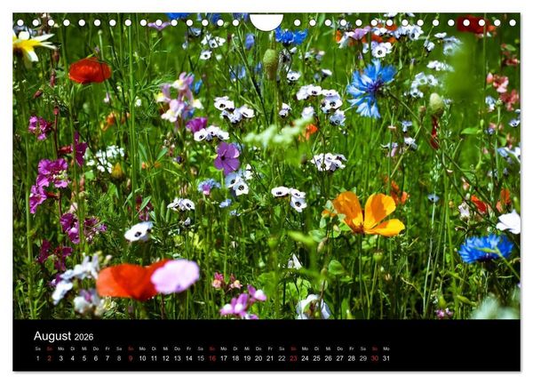 Produktbild: Winterberg - Sauerland - Eine Landschaft in Bildern (Wandkalender 2026 DIN A4 quer), CALVENDO Monatskalender