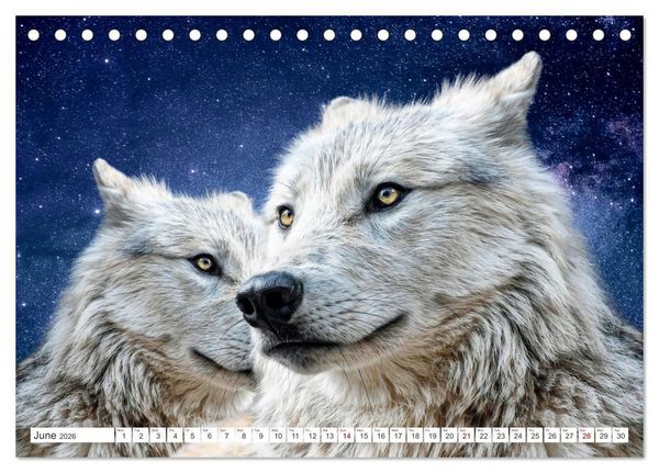 Produktbild: Wildlife of the Tundra (Desk Calendar 2026 DIN A5 landscape), CALVENDO 12 Month DeskCalendar