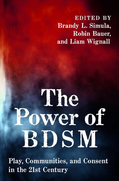 Produktbild: The Power of BDSM