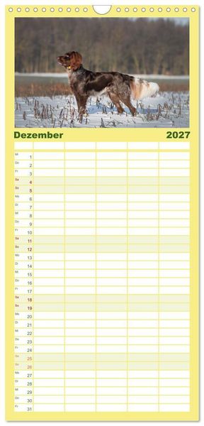 Produktbild: Familienplaner 2027 - Passion Jagdhund - Deutsch Langhaar mit 5 Spalten (Wandkalender, 21 x 45 cm) CALVENDO