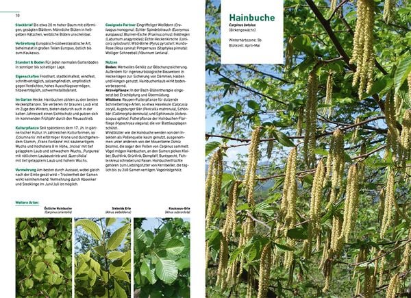 "Gärtnern im Klimawandel" online kaufen