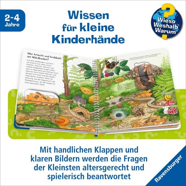 Produktbild: Wieso? Weshalb? Warum? junior, Band 77 - Tiere im Wald