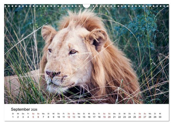 Produktbild: Sambia und der Sambesi (Wandkalender 2026 DIN A3 quer), CALVENDO Monatskalender