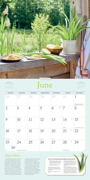 Produktbild: Gladstar, R: Rosemary Gladstar's Herbs Wall Calendar 2024