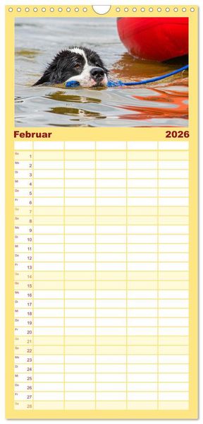 Produktbild: Familienplaner 2026 - Landseer - Ein starker Freund auf 4 Pfoten mit 5 Spalten (Wandkalender, 21 x 45 cm) CALVENDO