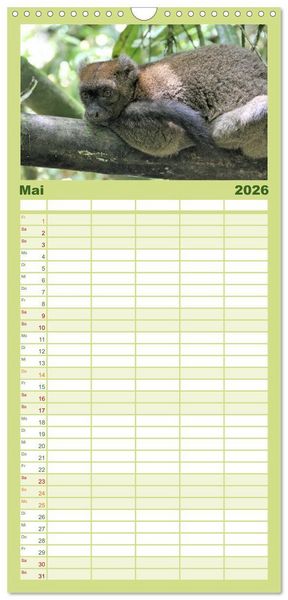 Produktbild: Familienplaner 2026 - Tiere Madagaskars mit 5 Spalten (Wandkalender, 21 x 45 cm) CALVENDO