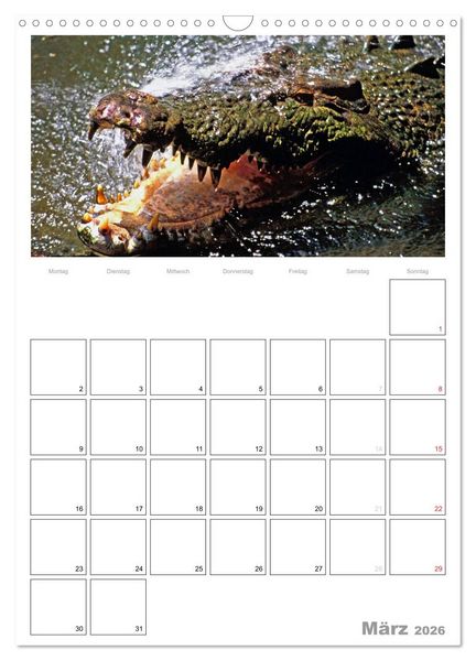 Produktbild: Australien - Terminplaner (Wandkalender 2026 DIN A3 hoch), CALVENDO Monatskalender