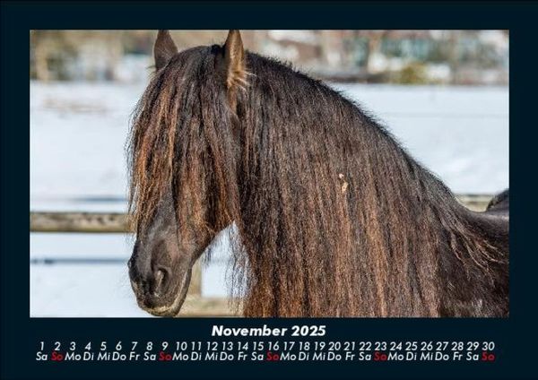 Produktbild: Pferdegefl&uuml;ster 2025 Fotokalender DIN A5