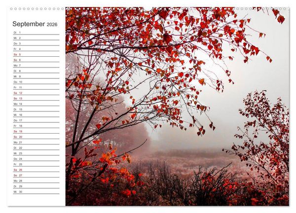 Produktbild: Worpswede - Natursch&ouml;nheiten im Teufelsmoor (Wandkalender 2026 DIN A2 quer), CALVENDO Monatskalender