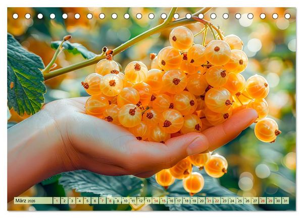 Produktbild: Erntegl&uuml;ck - Eine handvoll s&uuml;&szlig;er Fr&uuml;chte zum Anbei&szlig;en (Tischkalender 2026 DIN A5 quer), CALVENDO Monatskalender