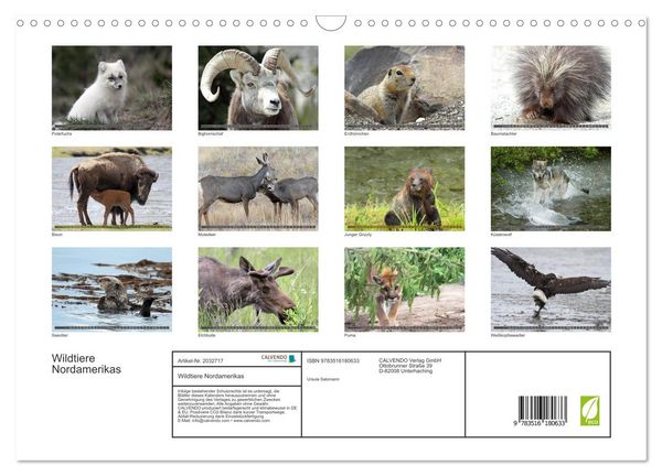 Produktbild: Wildtiere Nordamerikas (Wandkalender 2026 DIN A3 quer), CALVENDO Monatskalender