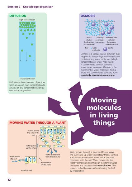 Produktbild: Secure Science for GCSE Workbook