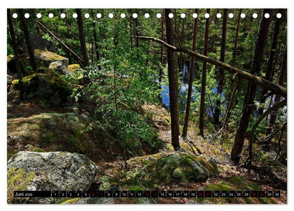 Produktbild: Tiveden, der NatURWALD in Schweden (Tischkalender 2026 DIN A5 quer), CALVENDO Monatskalender