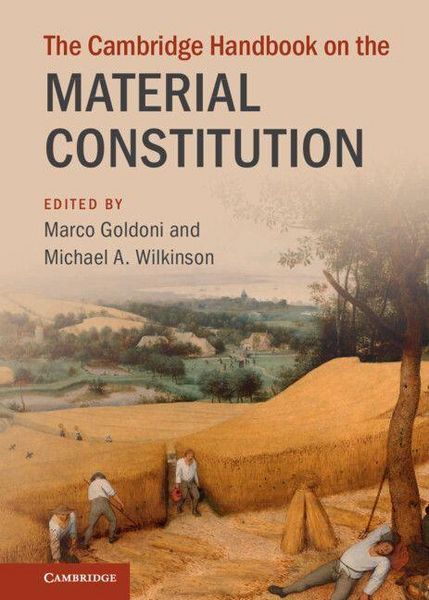Produktbild: The Cambridge Handbook on the Material Constitution