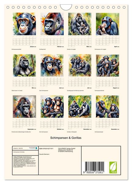 Produktbild: Schimpansen & Gorillas (Wandkalender 2026 DIN A4 hoch), CALVENDO Monatskalender