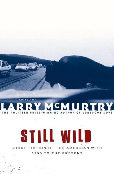 Produktbild: Still Wild