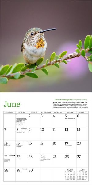 Produktbild: Audubon Hummingbirds Mini Wall Calendar 2026