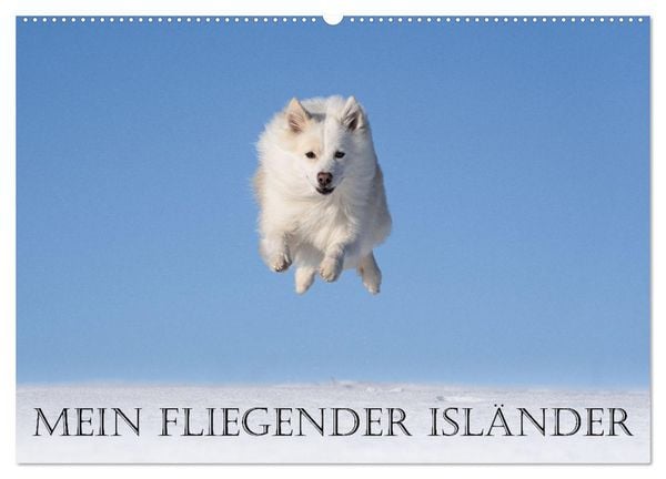 Produktbild: Mein fliegender Isl&auml;nder (Wandkalender 2026 DIN A2 quer), CALVENDO Monatskalender