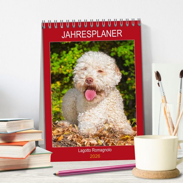 Produktbild: Jahresplaner Lagotto Romagnolo (Tischkalender 2026 DIN A5 hoch), CALVENDO Monatskalender
