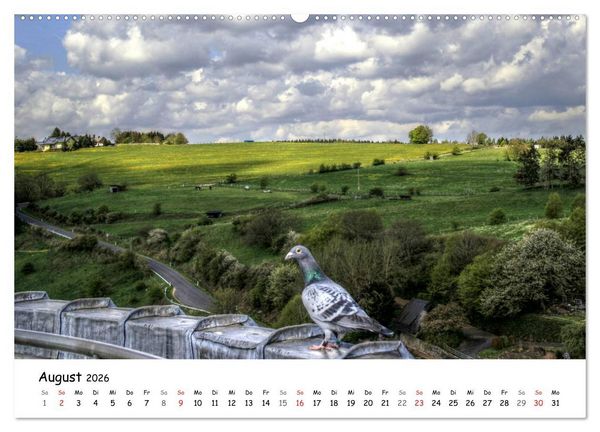 Produktbild: Die sch&ouml;nsten Orte der Eifel - Reifferscheid (hochwertiger Premium Wandkalender 2026 DIN A2 quer), Kunstdruck in Hochglanz