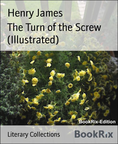 Produktbild: The Turn of the Screw (Illustrated)