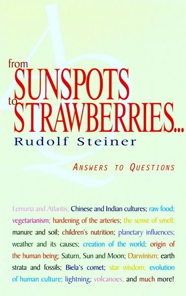 Produktbild: From Sunspots to Strawberries
