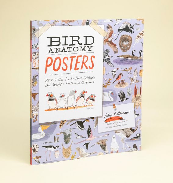 Produktbild: Bird Anatomy Posters