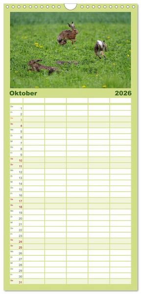 Produktbild: Familienplaner 2026 - Feldhasen in H&ouml;chstform mit 5 Spalten (Wandkalender, 21 x 45 cm) CALVENDO
