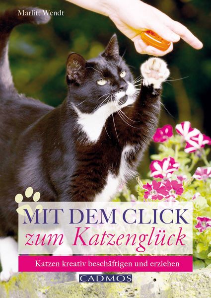 Produktbild: Mit dem Click zum Katzengl&uuml;ck