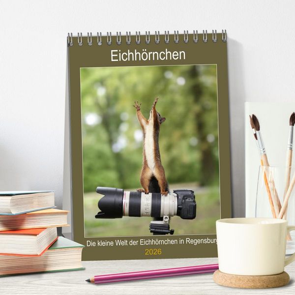 Produktbild: Die kleine Welt der Eichh&ouml;rnchen in Regensburg (Tischkalender 2026 DIN A5 hoch), CALVENDO Monatskalender