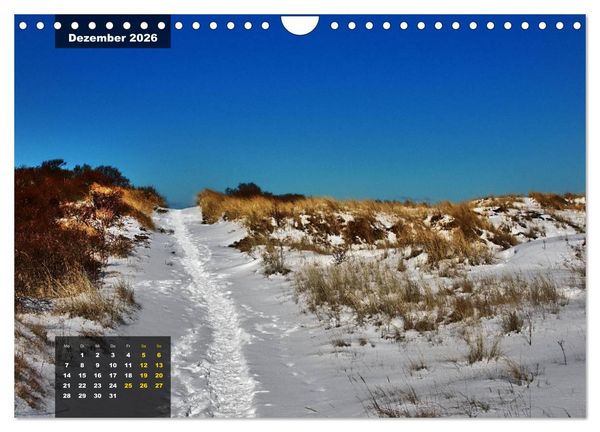 Produktbild: Texel Insel mit Charakter (Wandkalender 2026 DIN A4 quer), CALVENDO Monatskalender