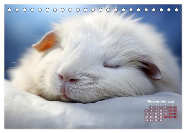 Produktbild: Wenn sie schlafen... (Tischkalender 2026 DIN A5 quer), CALVENDO Monatskalender