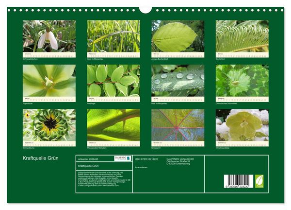 Produktbild: Kraftquelle Gr&uuml;n (Wandkalender 2026 DIN A3 quer), CALVENDO Monatskalender