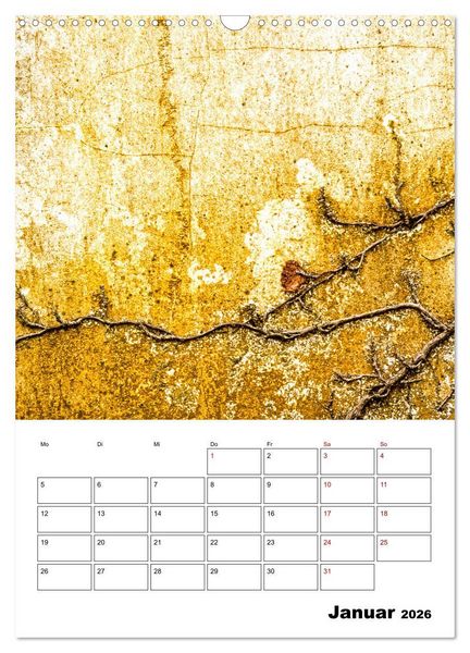 Produktbild: Mauerbl&uuml;mchen - Poesie im Allt&auml;glichen als Monatsplaner (Wandkalender 2026 DIN A3 hoch), CALVENDO Monatskalender