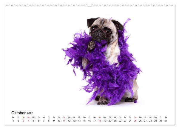 Produktbild: Funny Dogs (hochwertiger Premium Wandkalender 2026 DIN A2 quer), Kunstdruck in Hochglanz
