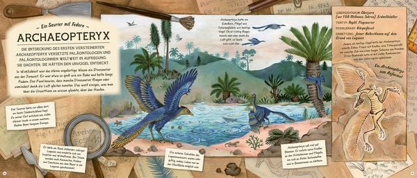 Produktbild: Fossilien &ndash; Sch&auml;tze von Ammoniten bis zum T. Rex