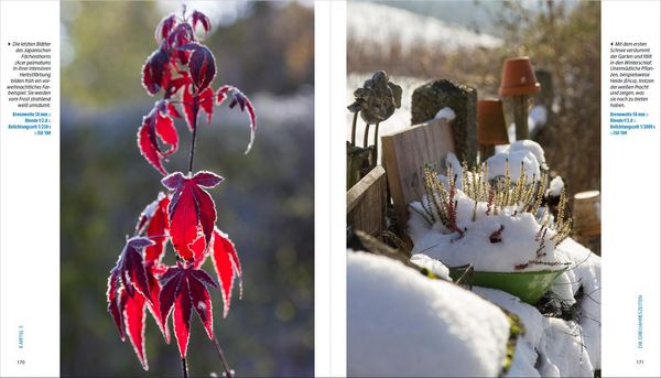 Produktbild: Garten-Shooting