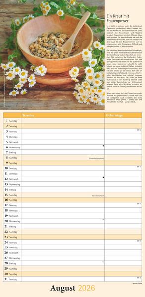 Kräuter & Gewürze 2026 - Streifenkalender 22x45 cm - mit Extraspalte für Geburtstage - Küchentipps und Mondphasen - Wandkalender - Terminplaner