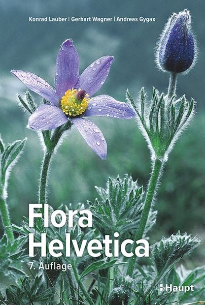 Flora Helvetica - Illustrierte Flora der Schweiz, Gebundene Ausgabe von Konrad Lauber,Gerhart Wagner,Andreas Gygax, Haupt Verlag, 978-3-258-08349-0