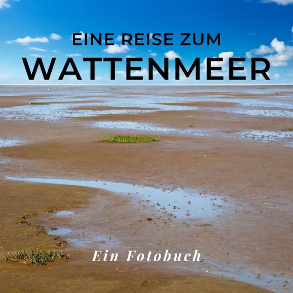 Das Wattenmeer, Taschenbuch von Tania Sardí, 27amigos, 9783750515673
