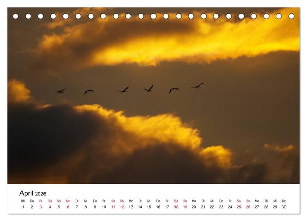 Produktbild: Zug der Kraniche (Tischkalender 2026 DIN A5 quer), CALVENDO Monatskalender