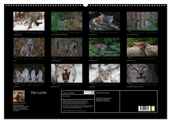 Produktbild: Der Luchs (Wandkalender 2026 DIN A2 quer), CALVENDO Monatskalender