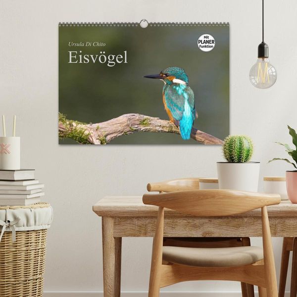 Produktbild: Eisv&ouml;gel (Wandkalender 2026 DIN A3 quer), CALVENDO Monatskalender