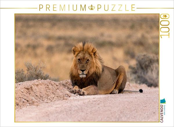 Produktbild: CALVENDO Puzzle Majest&auml;tische L&ouml;we | 1000 Teile Lege-Gr&ouml;&szlig;e 64x48cm Foto-Puzzle f&uuml;r gl&uuml;ckliche Stunden