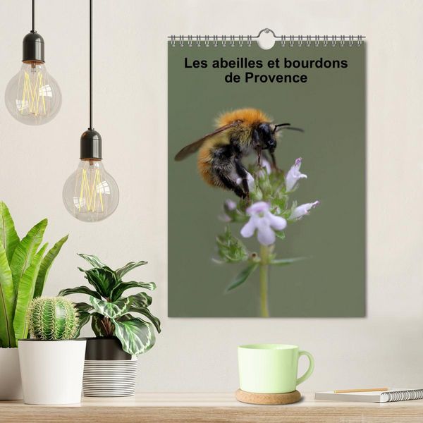 Produktbild: Les abeilles et bourdons de Provence (Calendrier mural 2026 DIN A4 horizontal), CALVENDO calendrier mensuel