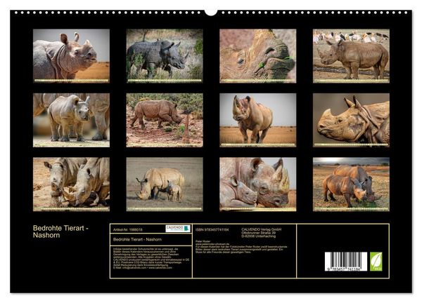 Produktbild: Bedrohte Tierart - Nashorn (hochwertiger Premium Wandkalender 2026 DIN A2 quer), Kunstdruck in Hochglanz