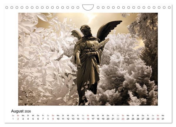 Produktbild: your guardian angel - Dein Schutzengel f&uuml;r jeden Tag (Wandkalender 2026 DIN A4 quer), CALVENDO Monatskalender