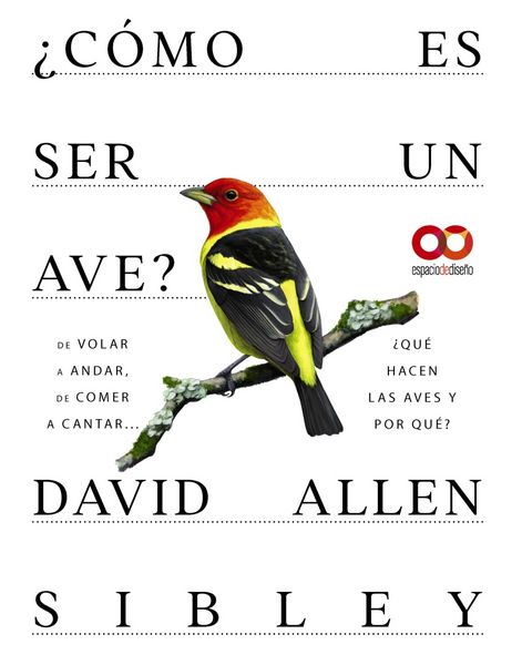 Produktbild: &iquest;C&oacute;mo es ser un ave? De volar a anidar, de comer a cantar... &iquest;Qu&eacute; hacen las aves y por qu&eacute;?